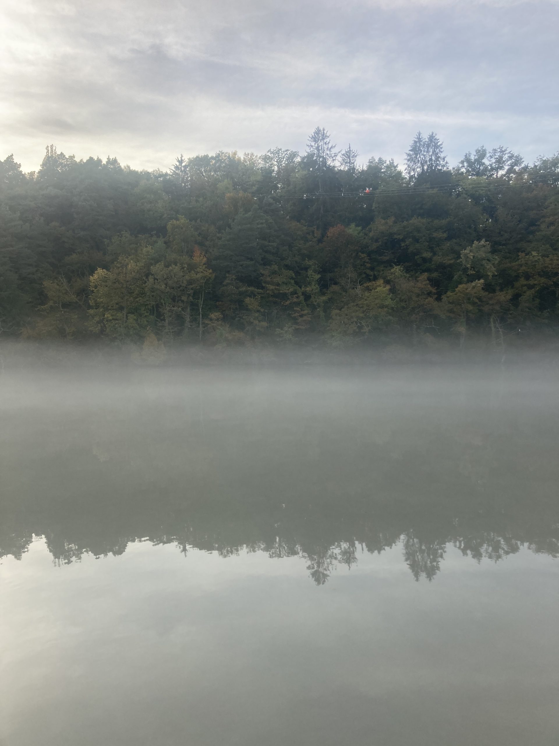 photographie du bâtiment de porteous avec un chien en premier plan - greg clement