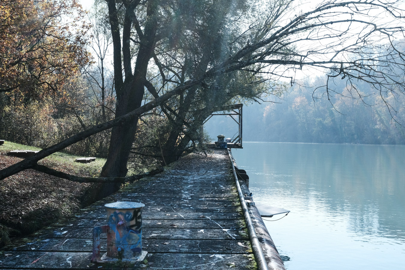 photographie du bâtiment de porteous avec un chien en premier plan - greg clement